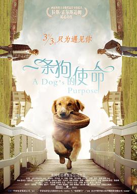 我就是想让观众更加了解我在生活当中的样子，最真实的那个样子。